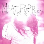 We Don't Exist - Meat Puppets
