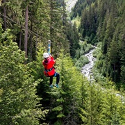 Zipline Whistler BC