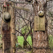 Wacky Woods (Permanently Closed)