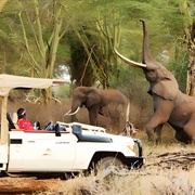 Tsavo National Park, Kenya