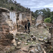 Newman's Nursery Ruins