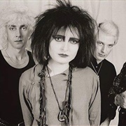 Siouxsie and the Banshees