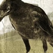 Hey, Soul Sister - Train