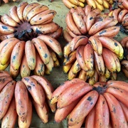 Wild Banana