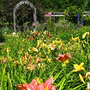 Cider Hills Garden, Vermont