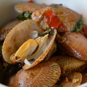 Undulate Venus (Paratapes Undulatus)