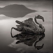 Lake Natron, Tanzania