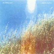The Blithe Sons - Waves of Grass