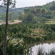 Putrajaya Wetlands