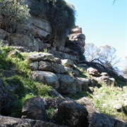 Cocoparra National Park