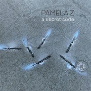Pamela Z - A Secret Code