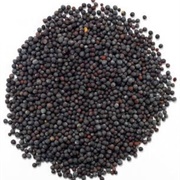 Black Mustard Seeds