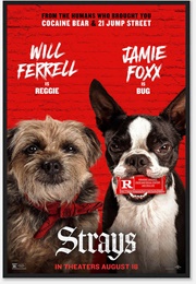 Strays (2023)