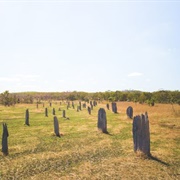 Magnetic Termite Mounds