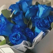 Blue Roses