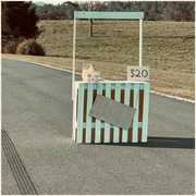 Unsweetened Lemonade - Amelie Farren