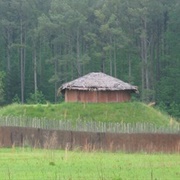 Town Creek Indian Mound