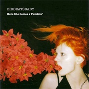 Here She Comes-A-Tumblin' - Birdeatsbaby