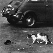 Conway the Machine & Wun Two - Palermo