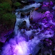 Ladder Creek Falls and Gardens