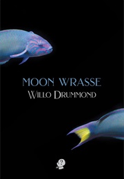 Moon Wrasse (Willo Drummond)