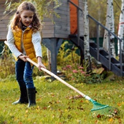 Rake Leaves