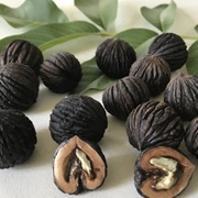 Colombian Walnut (Juglans Neotropica)