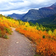 Flathead National Forest, Montana