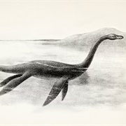 Lake Champlain Monster