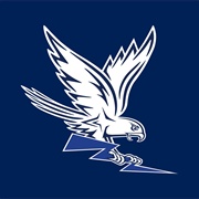 Air Force Falcons