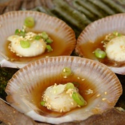 Saucer Scallop (Ylistrum Japonicum)