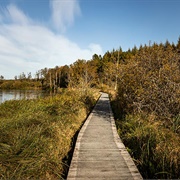 Trækstien (Silkeborg-Randers)