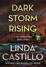 Dark Storm Rising (Linda Castillo)