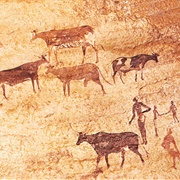 Domestication of  Animals