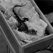 Leave It to Beaver: "Captain Jack" (S1,E2)