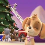 Deck the Halls - PAW Patrol Cast (PAW Patrol)