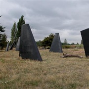 Magnuson Park Fin Art