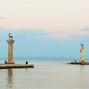 The Dama Deers of Rhodes, Greece