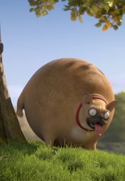 Rollin' France (2018)