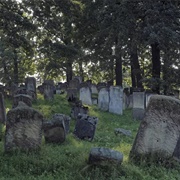 Necrophobia - The Fear of Death or Dead Things