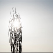 Winterlight Pictures