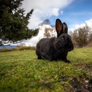 Jericho Beach Park, Vancouver, BC
