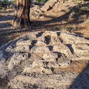Mysterious Carved Rocks of Los Alamos