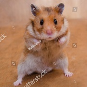 Being Scared of Everything