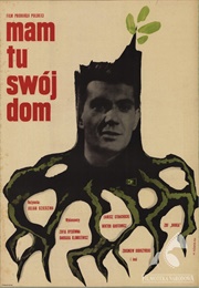 Mam Tu Swój Dom (1963)