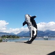 Digital Orca, Canada