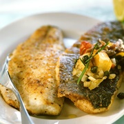 Roughback Sea Catfish