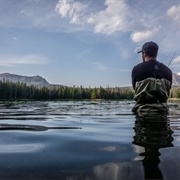 Go Fishing at a Local Lake, Pond, or Pier