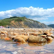 Charmouth Beach