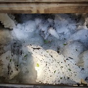 Coudersport Ice Mine